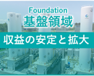 基盤領域